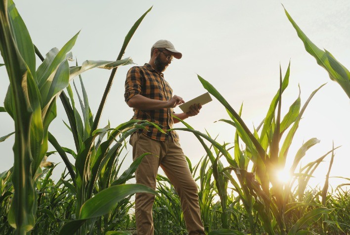 Produtor rural, conhecer as lacunas do seu negócio é o ponto de partida para superar a crise no agro