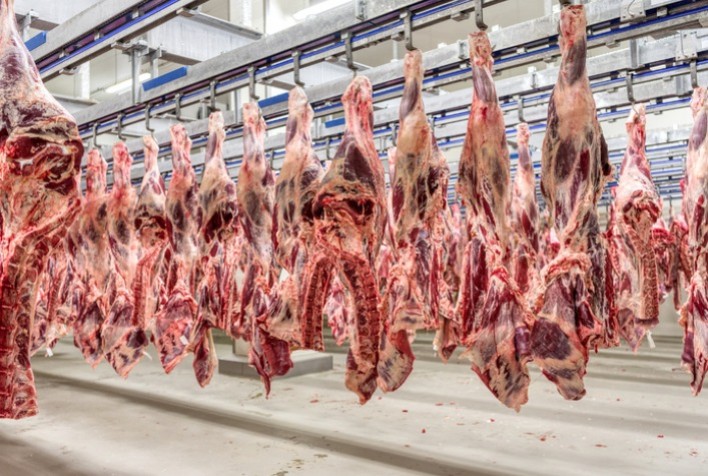 EXPORTAÇÕES BRASILEIRAS: Mais 38 frigoríficos brasileiros podem exportar carnes para a China