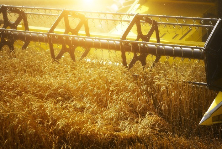 No Paraná, quase 60% dos produtores têm pelo menos uma máquina de cada linha vendida no país