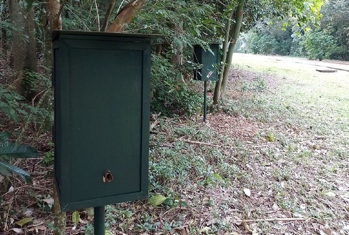 Oito espécies de abelhas-sem-ferrão são identificadas em refúgio biológico no Paraná