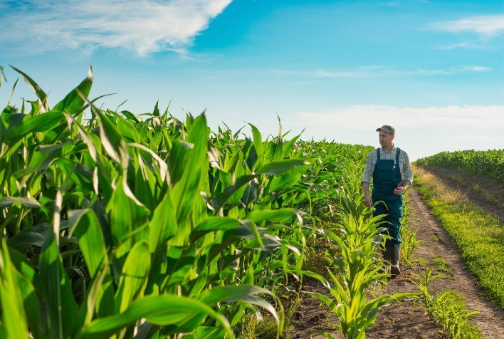 Recuperação judicial de produtor rural: quem pode pedir e quais os aspectos jurídicos envolvidos?