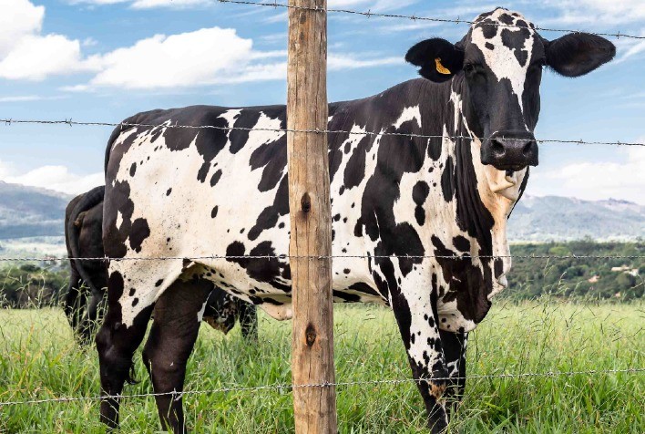 Belgo apresenta portfólio de arames farpados para os produtores de café na 23ª Femagri