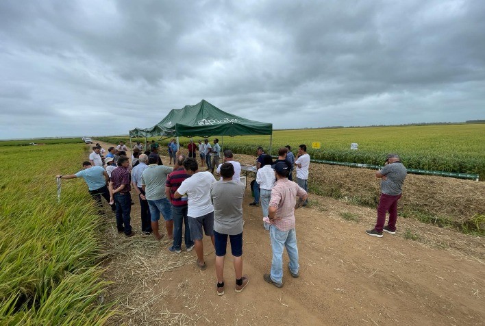 RiceTec recebe visita de representantes do setor orizícola da Colômbia