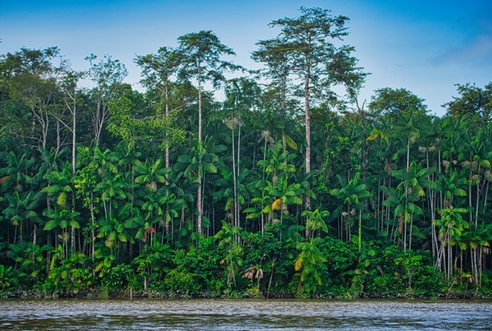 Projeto apoiado pelo Fundo JBS pela Amazônia seleciona negócios de impacto com foco na Amazônia para investimentos de até R$ 400 mil