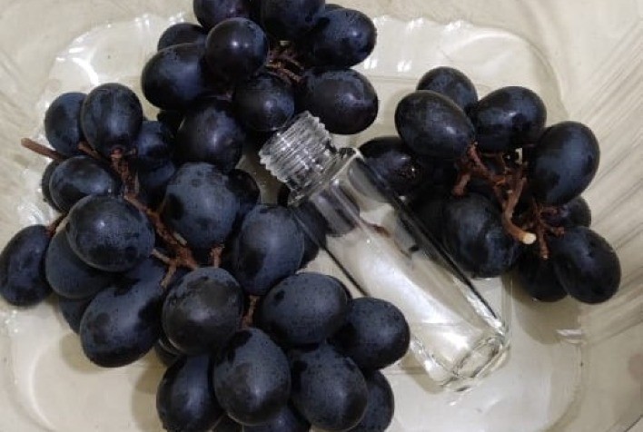 Embrapa busca parceiros para colocar no mercado embalagem sustentável que prolonga a vida útil de vegetais frescos