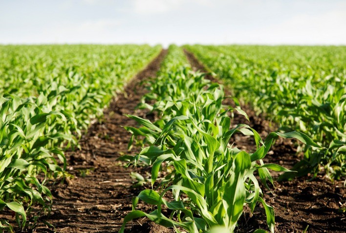 O sucesso de uma startup vai além de uma boa ideia