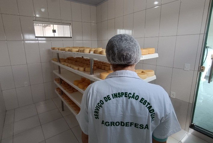 Agrodefesa realiza capacitação para profissionais da Vigilância Sanitária de Goiânia