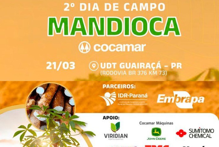 Pesquisadores divulgam tecnologias da mandioca em evento técnico