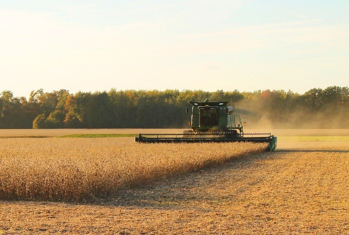 Colheita da soja chega a 3% da área plantada no RS