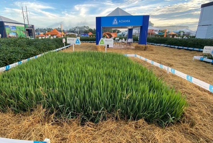 ADAMA leva portfólio de inovações e tecnologia em formulação para soja e arroz à Expoagro Afubra 2024