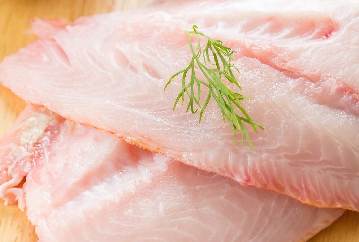 INOVAMEAT Toledo traz debate sobre os desafios das exportações brasileiras de tilápia