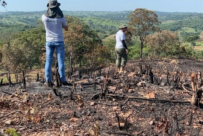 Desmatamento ilegal em Goiás: alertas e consequências