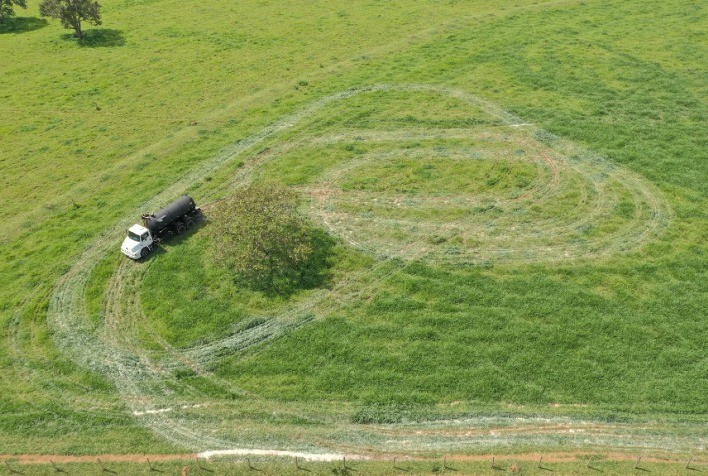 Indústria destina água residual para irrigação de pasto