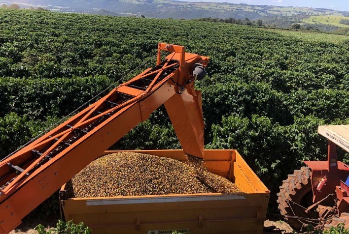 Safra de café do Brasil caminha para sequência rara de altas em 144 anos