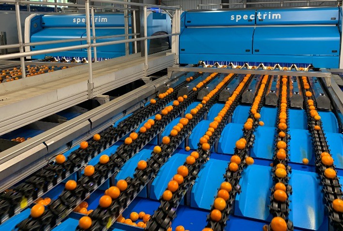 Tomra Food promove reestruturação no mercado brasileiro e nomeia João Medeiros como gerente comercial da estrutura