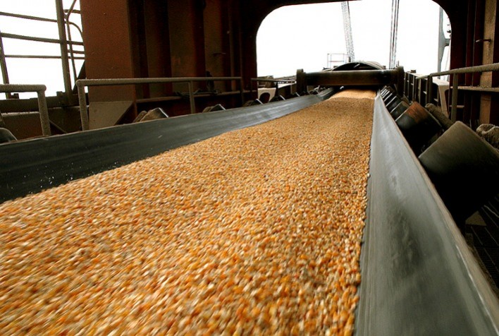 Exportações de Milho desaceleram: Brasil embarca apenas 18% do volume de março de 2023