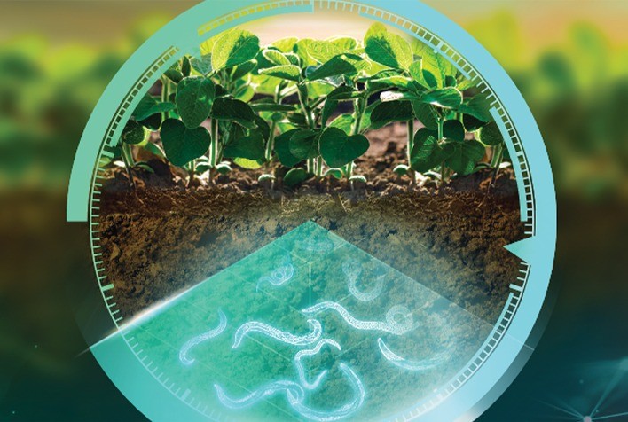 Syngenta oferta US$1 bi para "barter" no Brasil e "cashback" em 24/25 para atrair agricultor