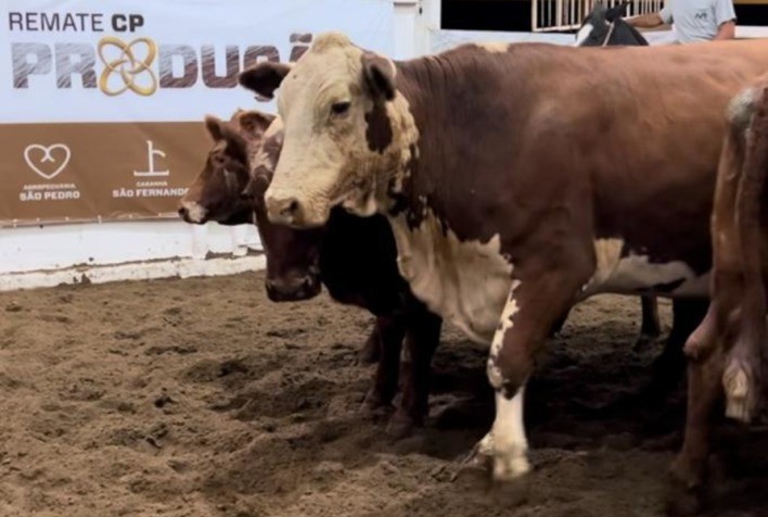 Recuperação da pecuária anima negócios para a Temporada de Outono