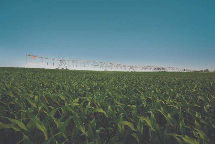 Rio Grande do Sul almeja aumentar a área irrigada em 100 mil hectares