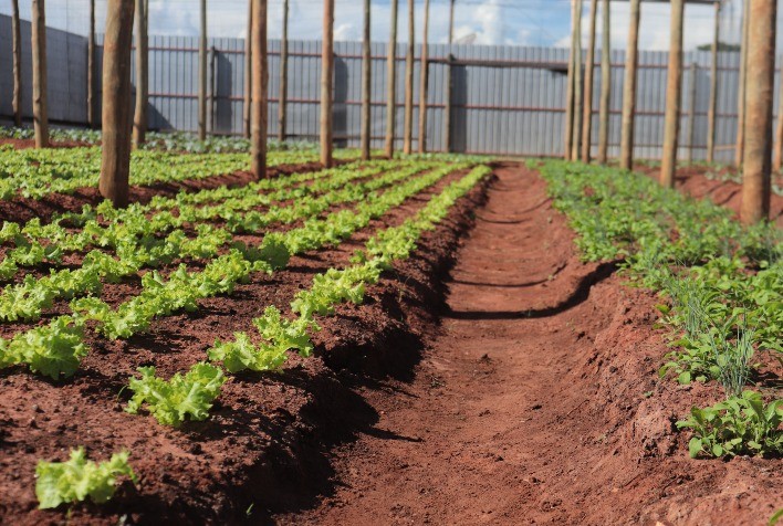 Horta Solidária beneficia famílias de Campo Florido, no Triângulo Mineiro
