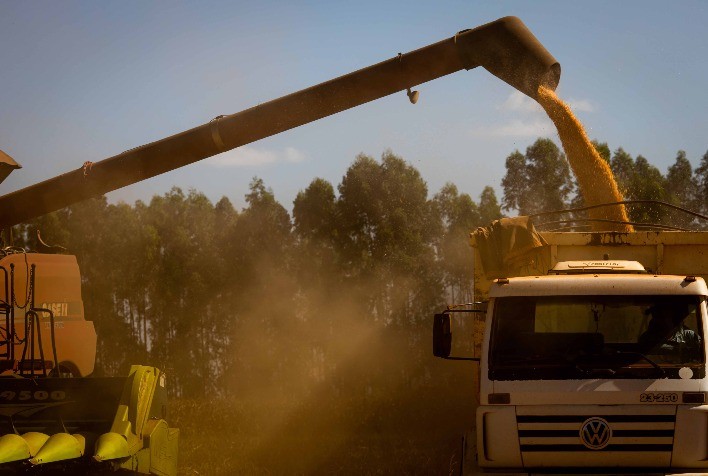 Faesc alerta produtores sobre o Plano de Governo para renegociação de parcelas de operações de crédito rural