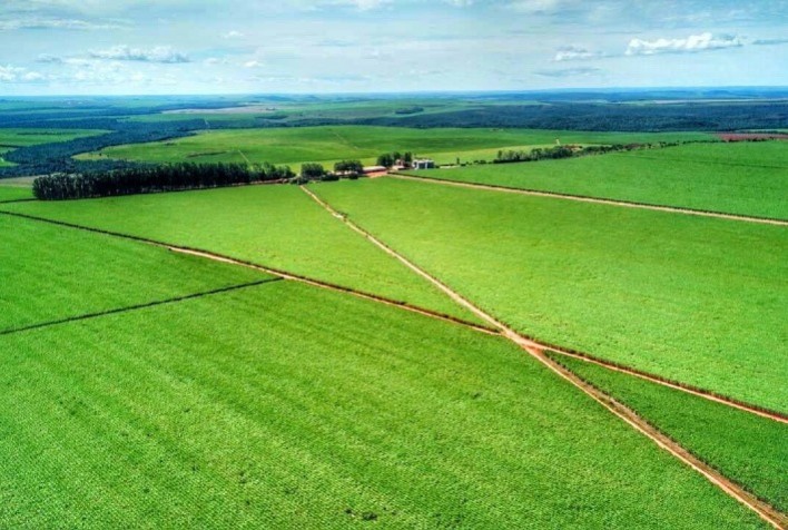 BrasilAgro vende parte da Fazenda Chaparral, na Bahia, por R$ 364,5 milhões