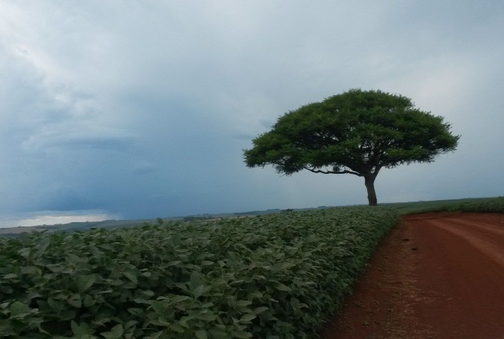 Modelos matemáticos apontam como a produção agrícola no Cerrado sofrerá os impactos das mudanças no clima