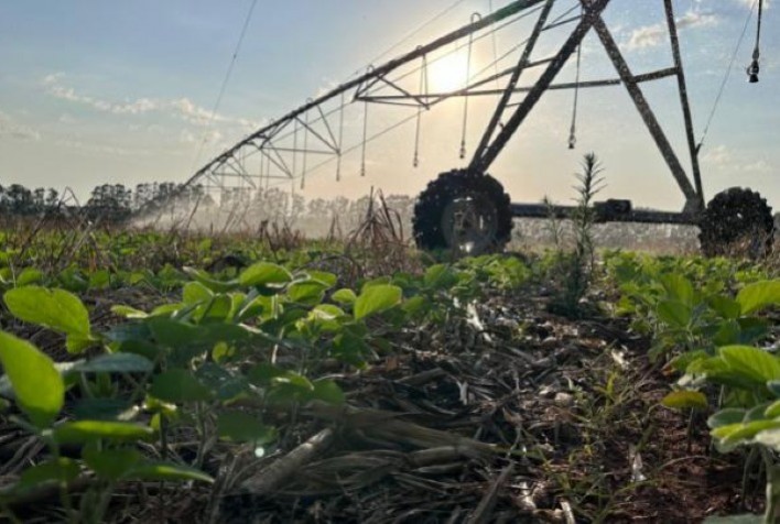 PARCERIA: Projeto da Cocamar e Governo do Paraná prevê polo de irrigação na região noroeste