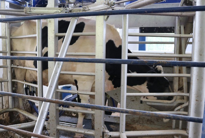 UFLA é referência em modernização da produção de leite em Minas Gerais