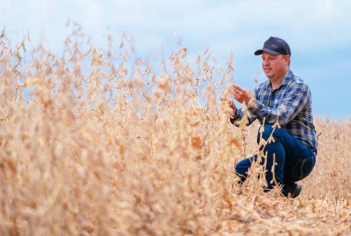 AGRO: Safra de soja 2023/24 tem clima bagunçado e produtividades variadas