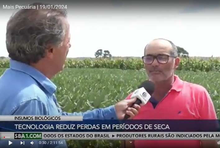 Mesmo em condições climáticas adversas, produtor de Londrina/PR alcança média de 160 sacas por alqueire com manejo biológico