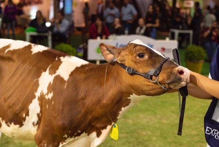 Sustentabilidade é um dos principais temas da Expofrísia