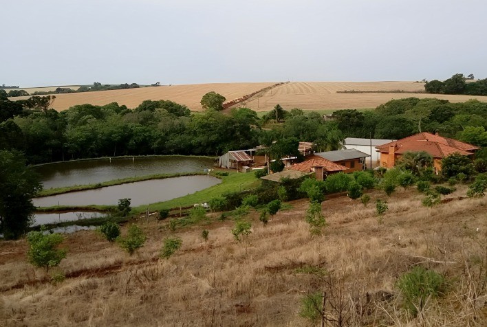 Dívidas de imóveis rurais em condomínio são responsabilidade solidária entre os coproprietários