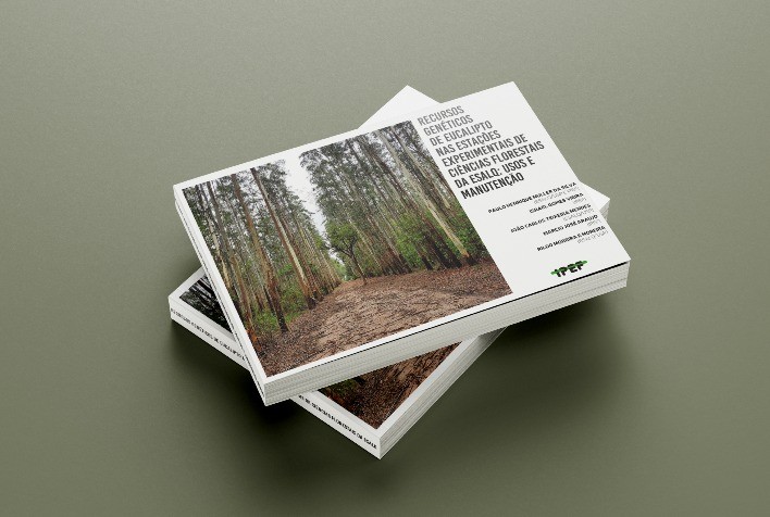 Parceria entre universidade e setor produtivo sustenta a excelência do setor florestal brasileiro