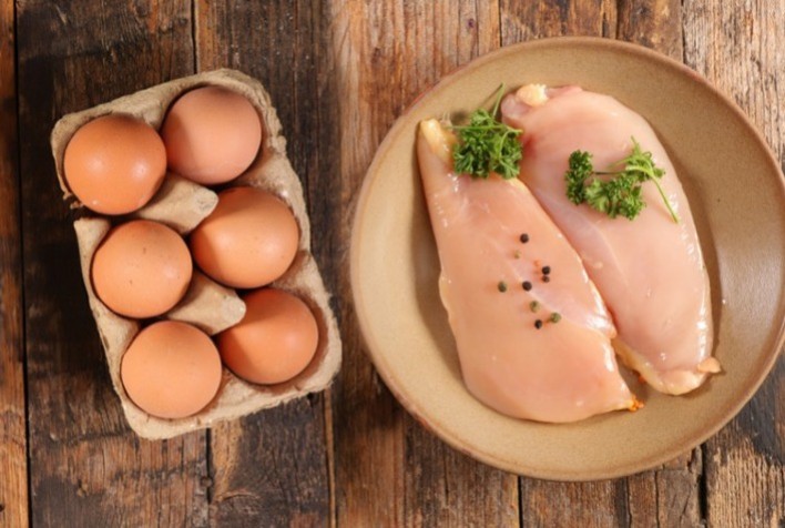 Abertura de mercados em El Salvador para exportações brasileiras de ovos e carne de aves