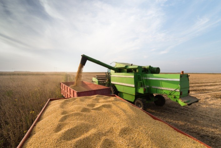 Agrural: Colheita de soja chega a 74% da área no Brasil