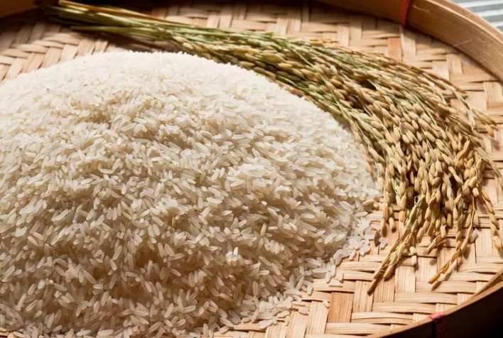 Desafios e perspectivas para o mercado de arroz segundo a Consultoria Agro Itaú BBA