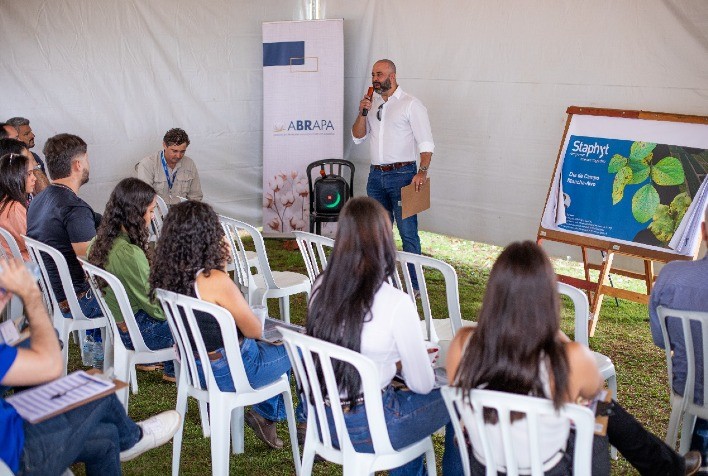 Abrapa e Aprosoja miram no combate à mancha-alvo