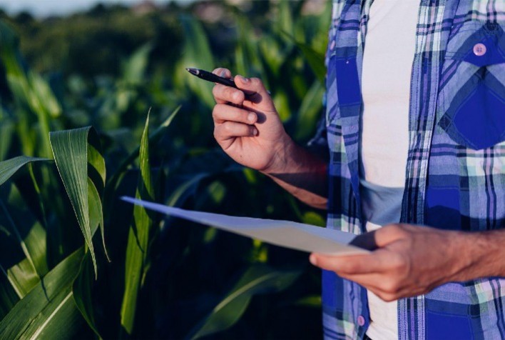 Antecipação de recebíveis digital tem se tornado alternativa com a escassez do crédito rural