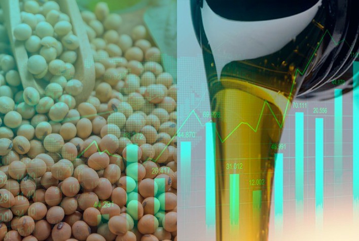 PIB da soja e do biodiesel cresce 21% em 2023, mas renda real recua 5,3%