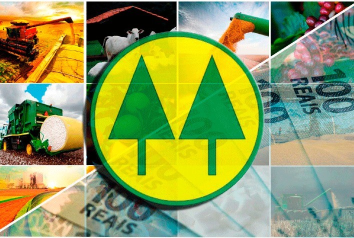 Cooperativas querem R$ 557,5 bilhões em crédito para o Plano Safra 24/25