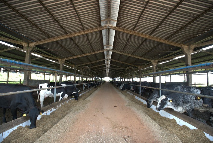 Software de gestão facilita vida do produtor de leite na hora do imposto de renda