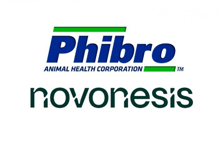 Phibro e Novonesis anunciam parceria para oferecer biossolução nutricional a bovinos de corte e leite