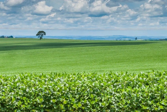 Embrapa leva pilares da produção sustentável de soja na ExpoLondrina