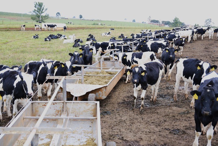 RAR ascende ao TOP 10 maiores produtoras de leite do Brasil