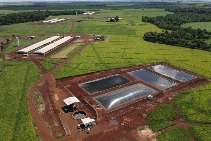 Produtores de suínos da Seara geram energia elétrica a partir de dejetos de animais