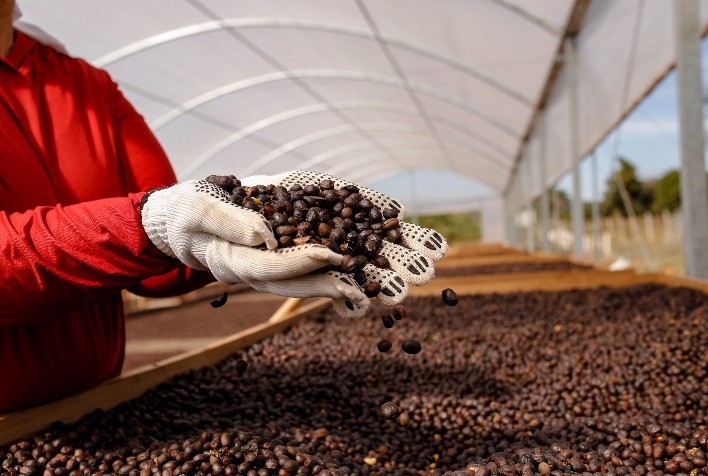 Mercado do café opera com ajustes e monitora estoques e clima no Brasil