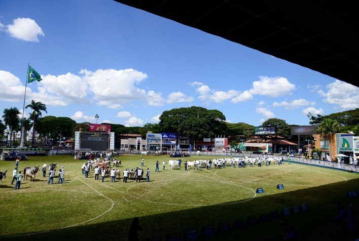 89ª ExpoZebu: entrada de animais participantes de julgamentos será liberada no dia 15 de abril