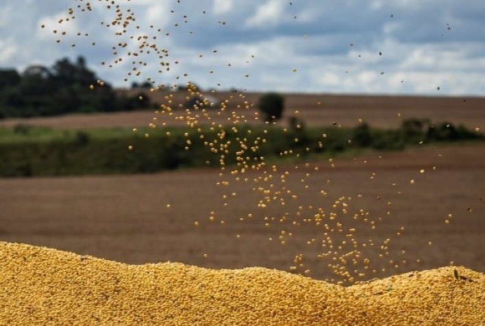 UPL apresenta Casa de Soluções para lavouras mais produtivas na Tecnoshow, em Rio Verde (GO)