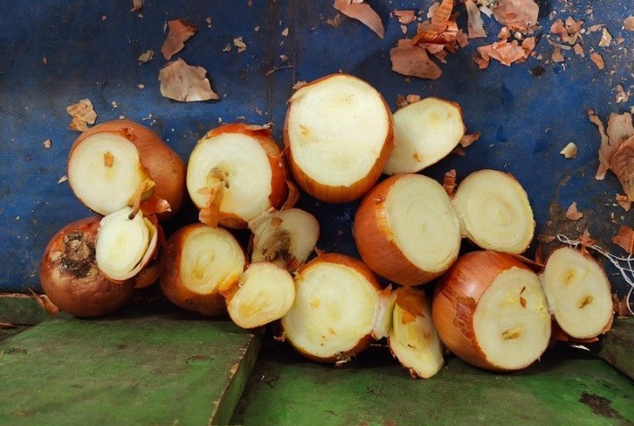 Cidades na fronteira com a Argentina sofrem com infestação perigosa na cebola